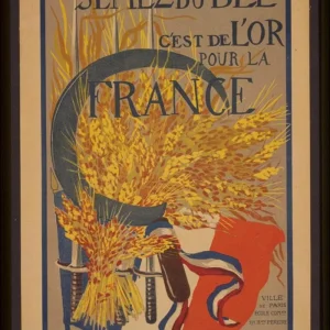 French War Posters