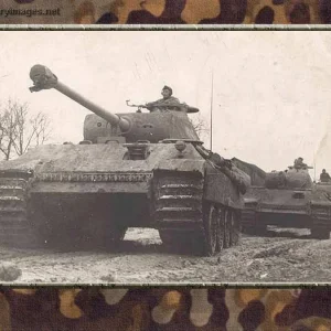 pz5d0092