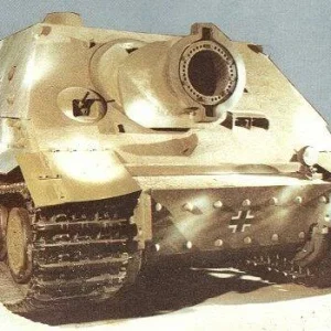 Sturmtiger