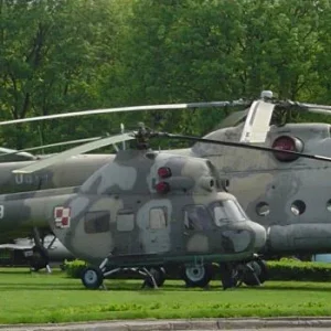 Mi-2 and Mi-8