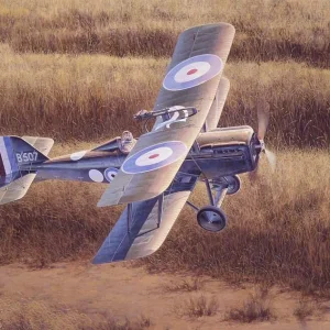 WWI SE 5a