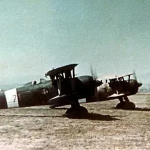 Fiat CR 42 Falco