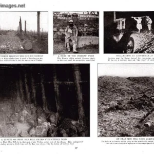 Pictorial history of WWI