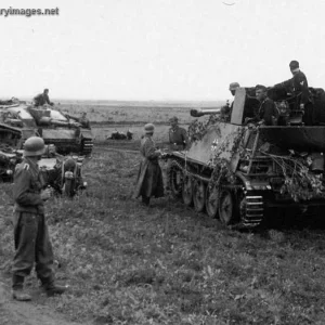 Marder II  and StuG III Ausf F8