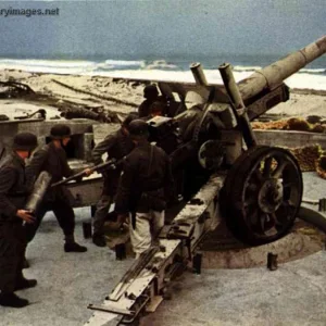 Artillery Coastal