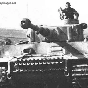 KURSK TIGER