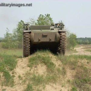 TLAV ARV