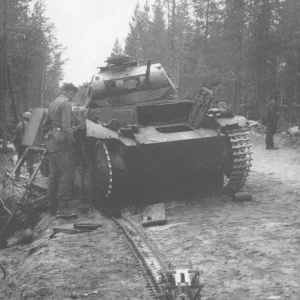 Destroyed Pz.Kpfw II on the road