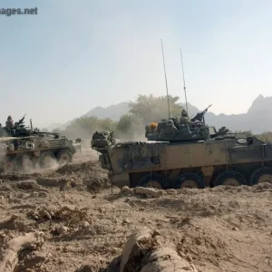 LAV III in the Panjwaii District west of Kandahar City