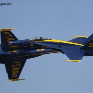 Blue Angels