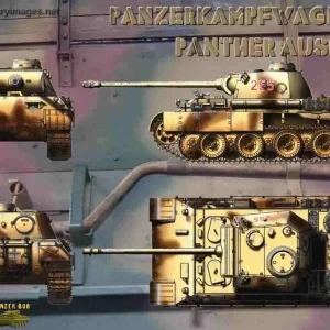 Panther_Ausf_D2_255