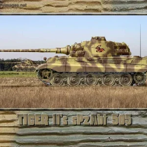 Tiger 2 x2 with sPzAbt 505