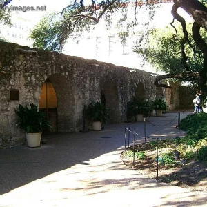 The Alamo