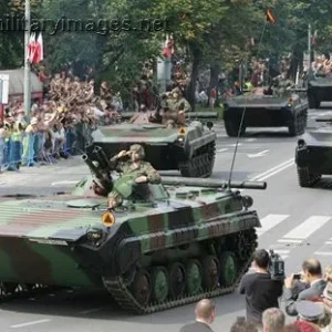 Polish Army Day