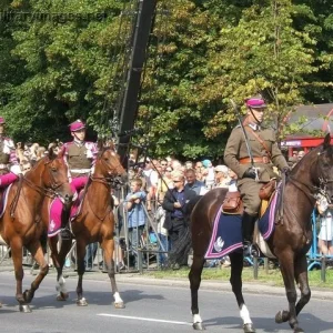 Polish Army Day