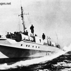 Motor torpedo boats (PT Boats)