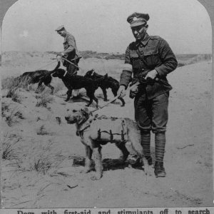 WWI_dogs