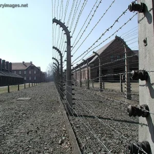 Holocaust