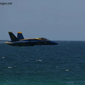 Blue Angel's