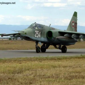 Bulgarian Sukhoi 25 Frogfoot