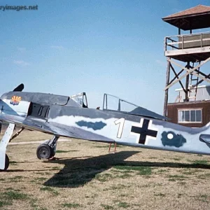 FW190F8_white_1_restoration