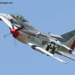 F16_P51_2006