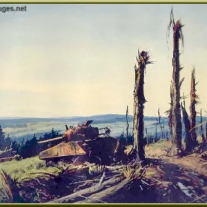 m4_Tanks_in_the_Hurtgen