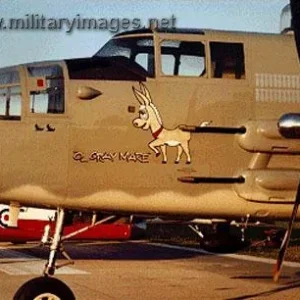 Aircraft Nose Art