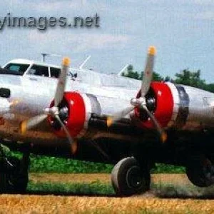 Aircraft Nose Art