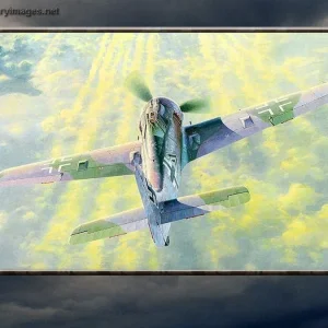 Fw190_Sky