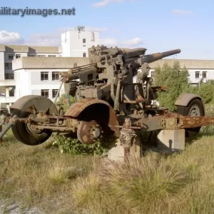 Relics of South Africa