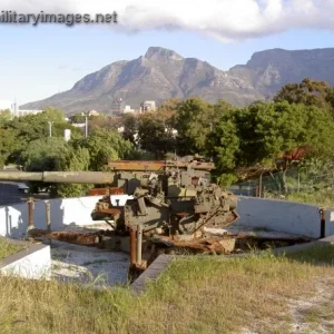Relics of South Africa