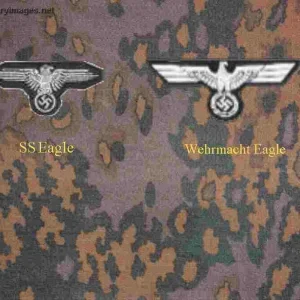 German_Eagles