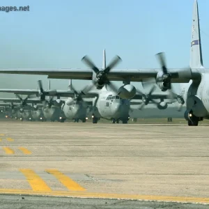 Air Force C-130 Hercules line up