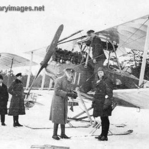 Albatros planes F3 and F5 in spring 1918