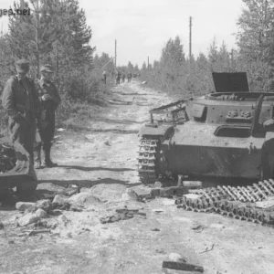 Pz.Kpfw II, which was destroyed by a anti-tank mine