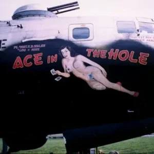 B29 - Ace In The Hole