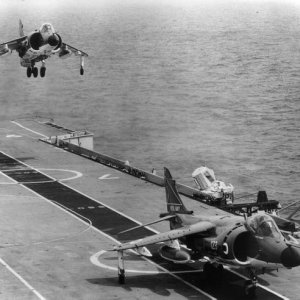 Falklands Sea Harriers