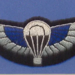 SAS_Sabre_Wings