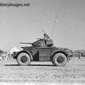 Staghound