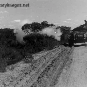 Staghound