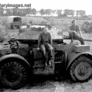 Staghound