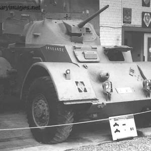 Staghound