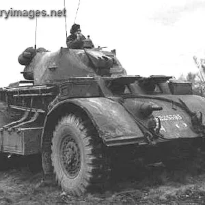 Staghound