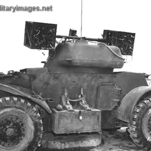 Staghound