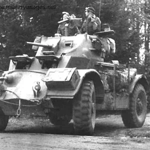 Staghound