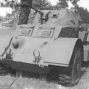 Staghound