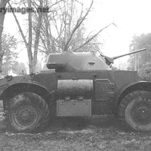 Staghound