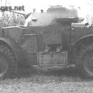 Staghound