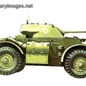 Staghound